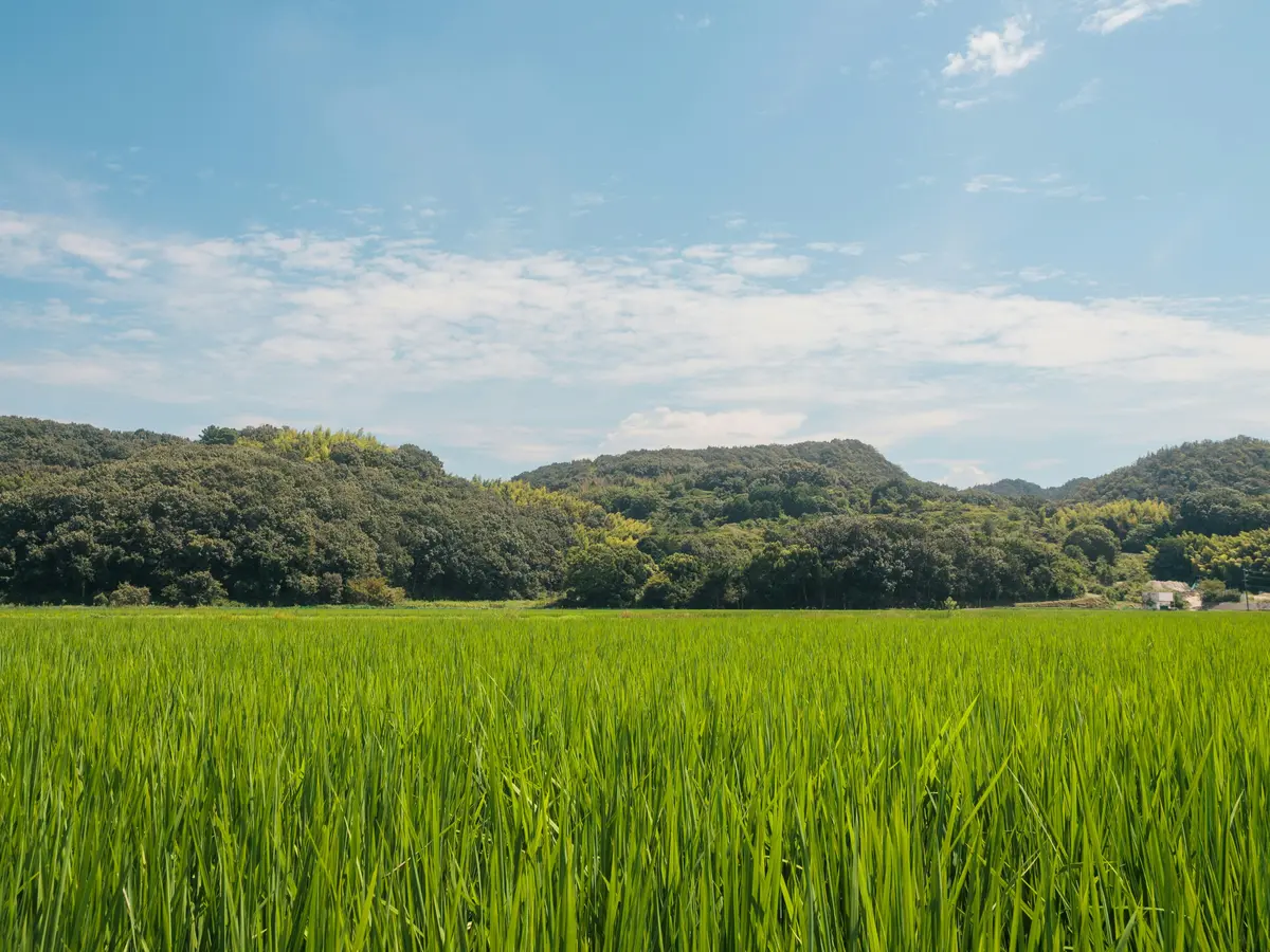 【ふるさと納税】節約・貯蓄したい人向け｜食料品以外の穴場返礼品3選